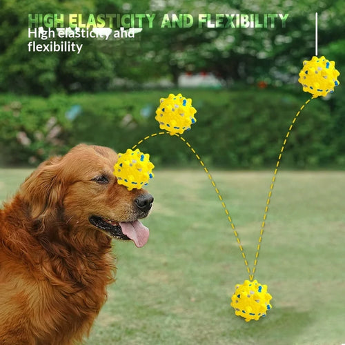 ETPU Dog Ball Durable Bouncy Chew Toy for Aggressive Chewers Interactive Dental Cleaning Toy for Small Medium Dogs 3 Sizes